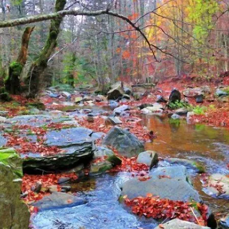 Hotel Form Thermal & Kaz Daglari Gure